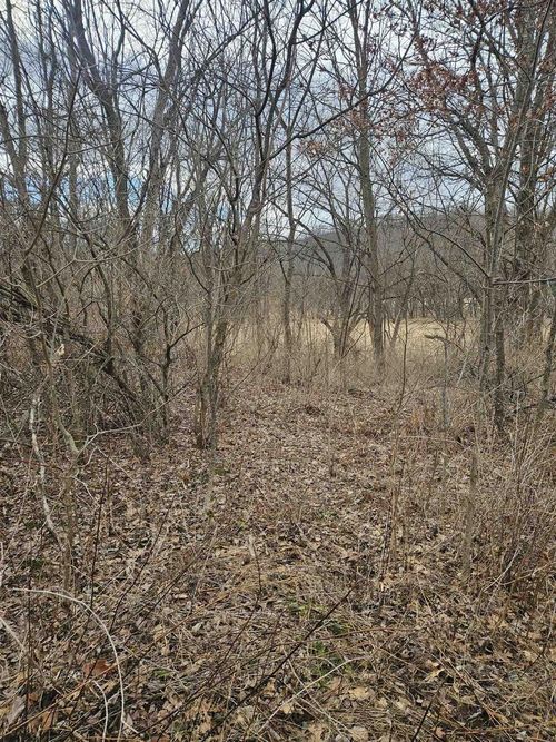 11.3 Acres State Hwy 131, Clayton, WI, 54655 | Card Image
