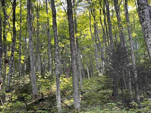 00 Dexter Mountain Rd, Glover, VT, 05839 | Card Image