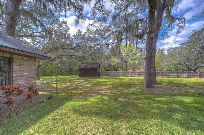 Side of yard | Image 64