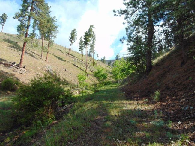 27235 Lazy Springs Rd, Home with 0 bedrooms, 0 bathrooms and null parking in Clinton MT | Image 51