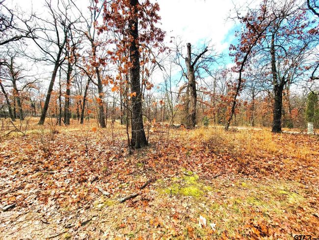 327 La Prada, Home with 0 bedrooms, 0 bathrooms and null parking in Malakoff TX | Image 14