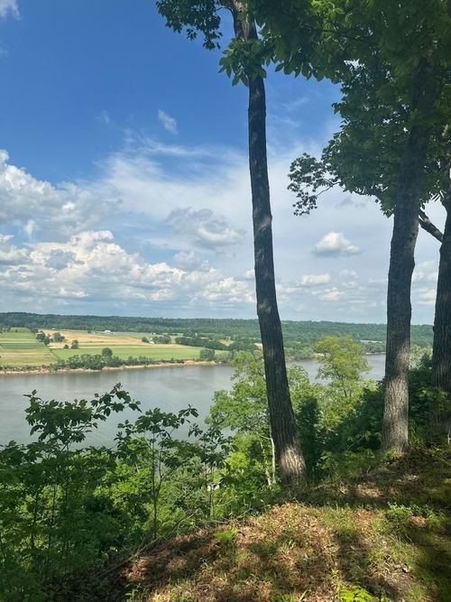 00 Dexter Magnet Rd, Cannelton, IN, 47520 | Card Image