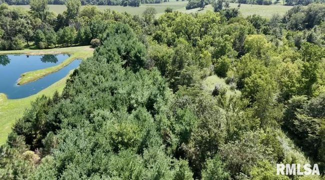 1316 Bridgeport Rd, House other with 3 bedrooms, 2 bathrooms and null parking in Maquon IL | Image 13
