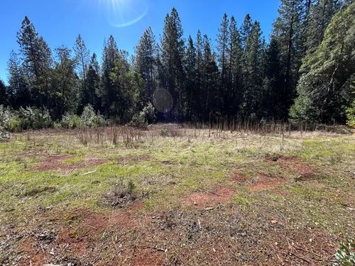 35 Bamford Way, Forbestown, CA, 95941-9703 | Card Image