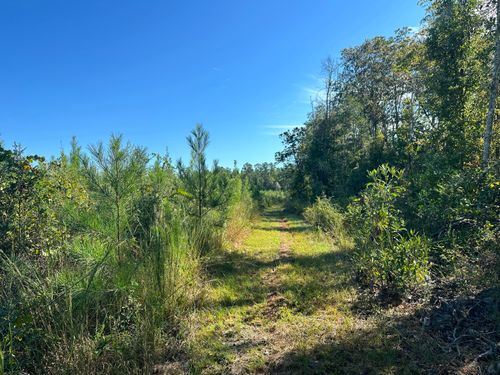 Parcel L Buck Tyner Rd, Laurel Hill, FL, 32567 | Card Image