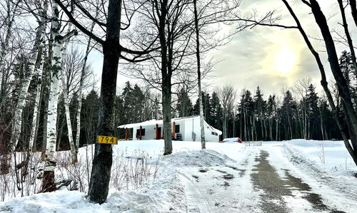 794 White Rd, West Townshend, VT, 05359 | Card Image