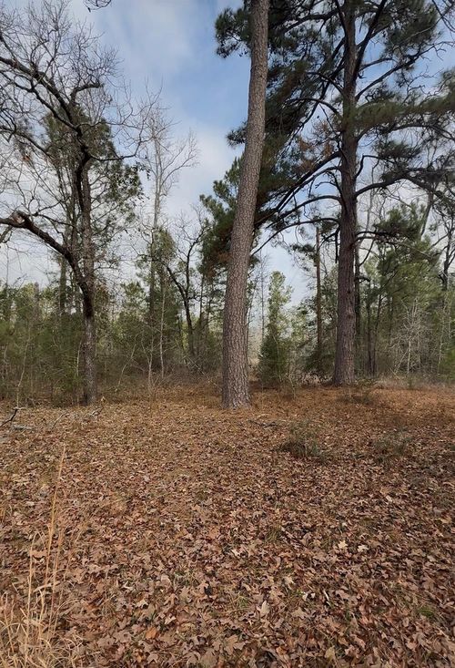 24159 Weeren Rd, Montgomery, TX, 77316-1712 | Card Image