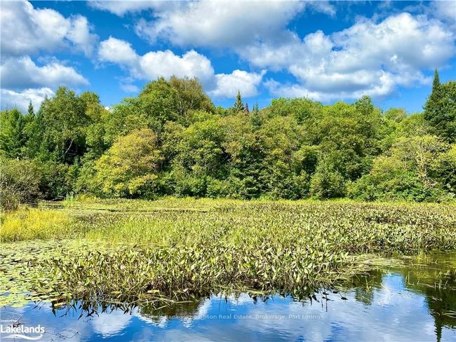 22-A Maple Dr, Home with 0 bedrooms, 0 bathrooms and null parking in Loring ON | Image 15
