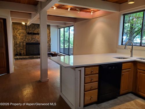 103-101 E Cooper Avenue, Aspen, CO, 81611 | Card Image