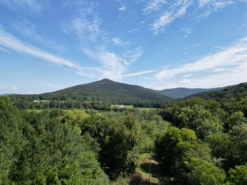 0 County Road 12, Hollytree, AL, 35751 | Card Image