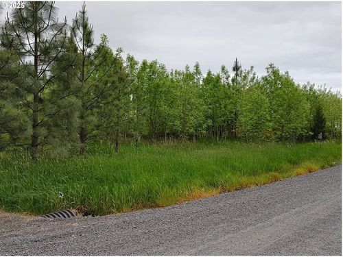 0 Nicholson Rd, Toledo, WA, 98591 | Card Image