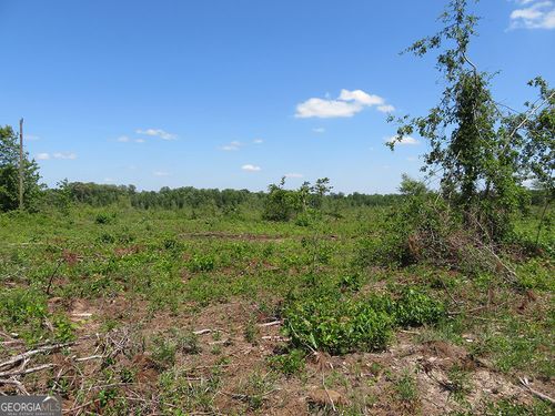 K 2 Goolsby Rd, Ellaville, GA, 31806 | Card Image
