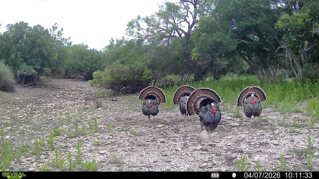 Land in Del Rio 4