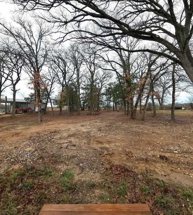 View of yard | Image 15