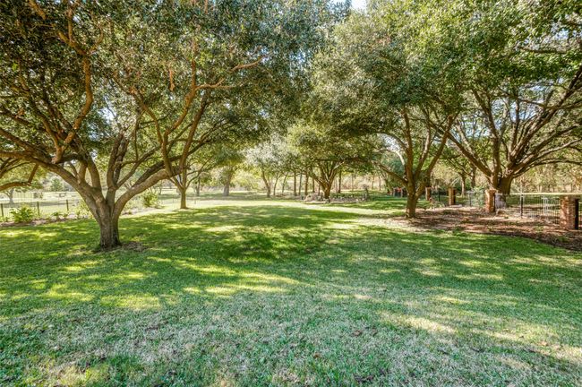 View of yard | Image 33