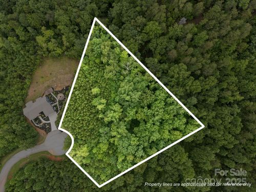351-00000 Deer Jump Trl, Lake Lure, NC, 28746 | Card Image