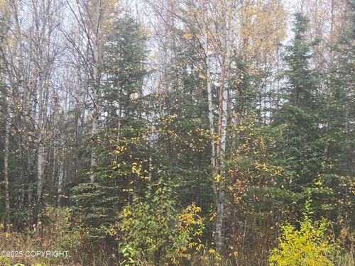 L1 B1 Brenden Boulevard, Copper Center, AK, 99573 | Card Image