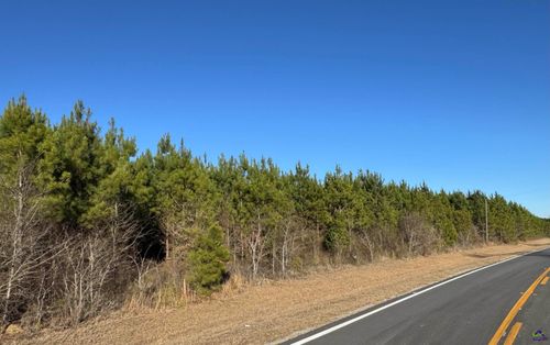 LOT 3A Whitfield Rd, Elko, GA, 31025 | Card Image