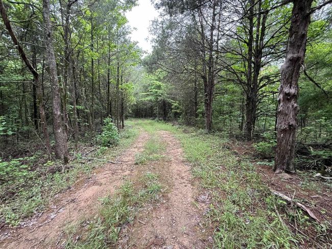 256 Rambo Loop, Home with 0 bedrooms, 0 bathrooms and null parking in Searcy AR | Image 12