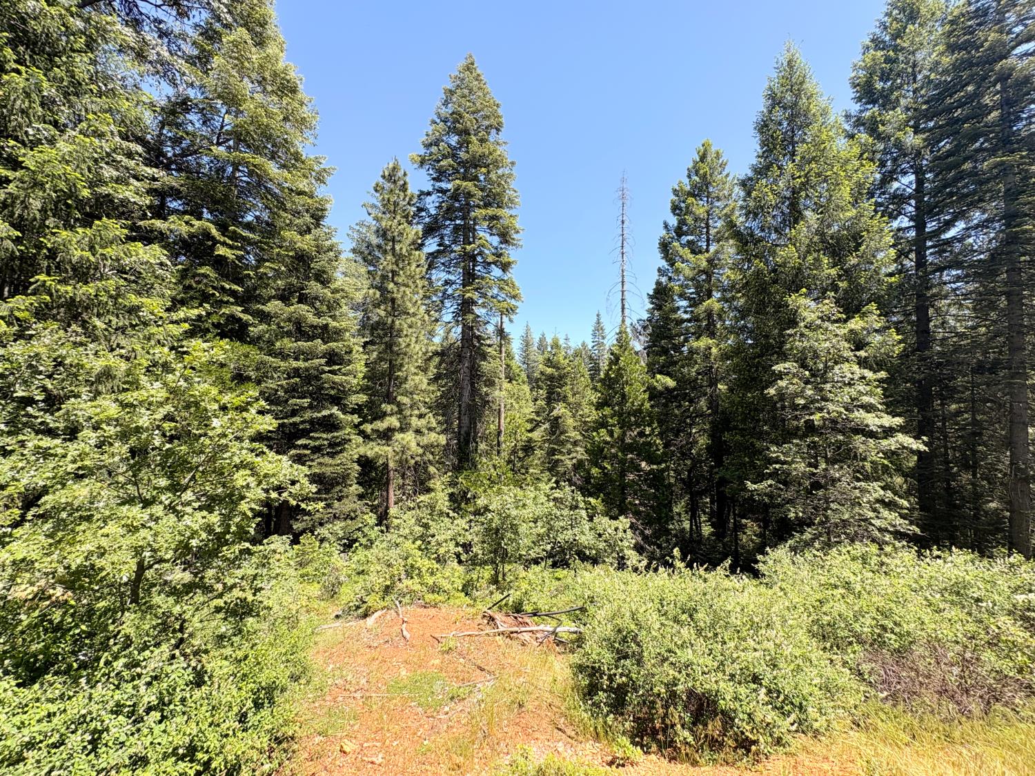 Land in Nevada City 3