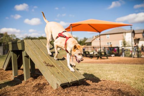 207 La Caleta Bend, Liberty Hill, TX, 78642 | Card Image