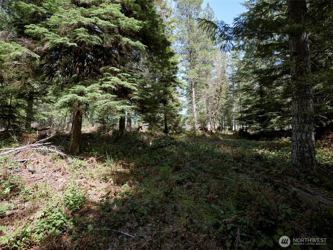 Acreage | Image 19