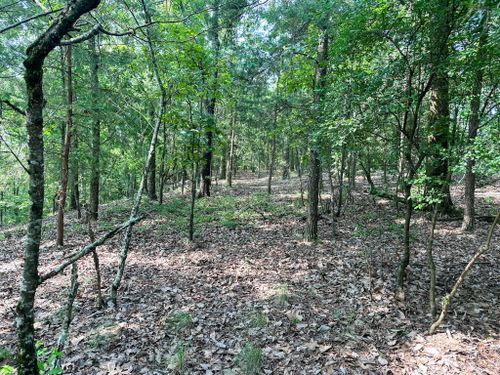 0 County Road 365, Leesburg, AL, 35983 | Card Image