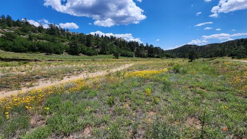 TBD Big Bow Drive, Cotopaxi, CO, 81223 | Card Image