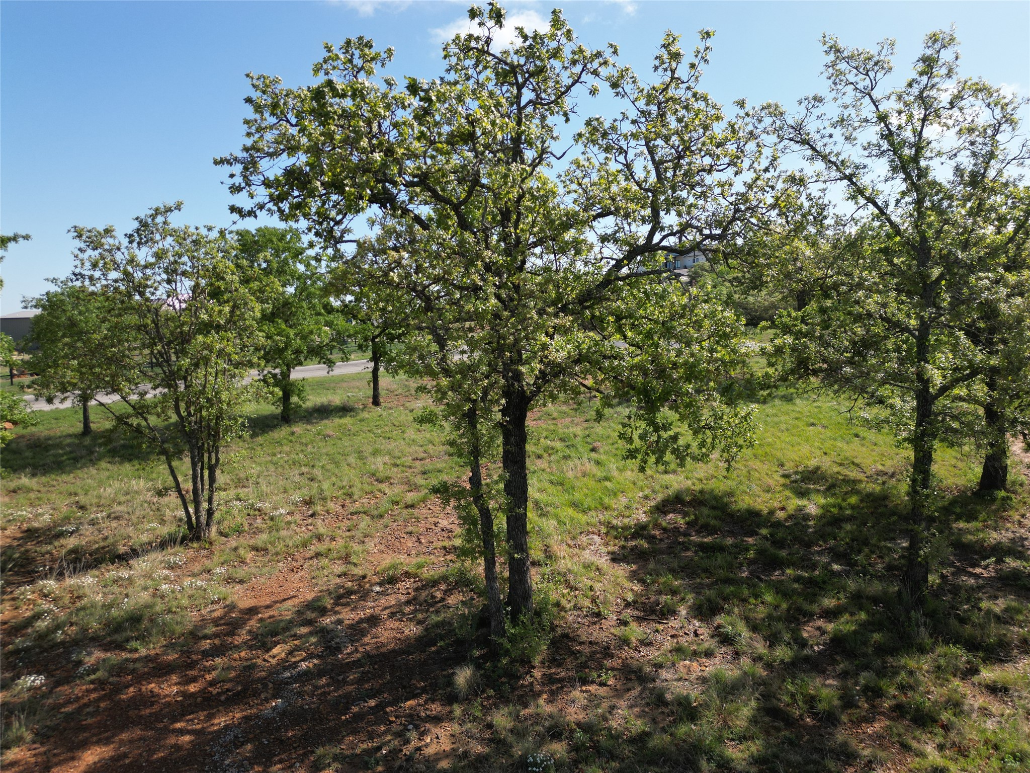 Land in Cisco 4
