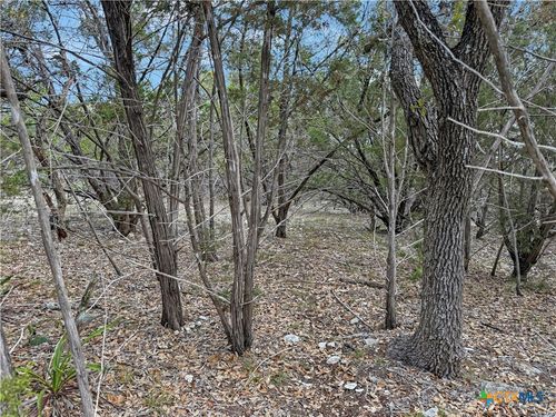 1081 Dog Leg Ln, Spring Branch, TX, 78070 | Card Image