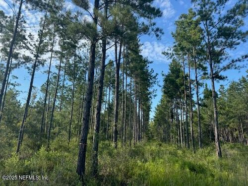 0 Whippoorwill Lane, Olustee, FL, 32072 | Card Image