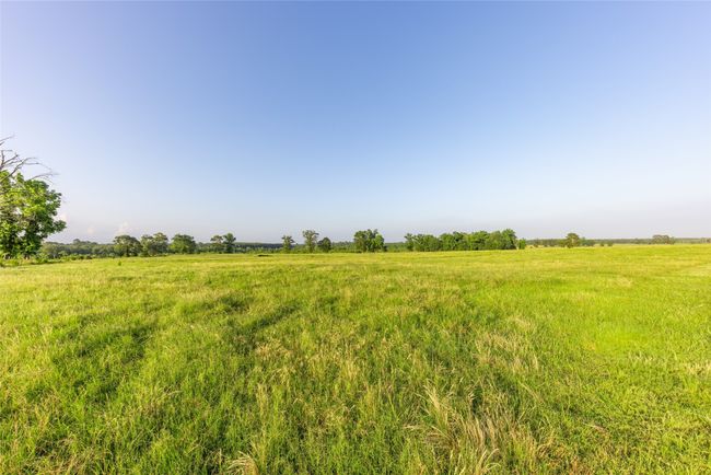 RD - 9759 Texas Highway 155, Home with 0 bedrooms, 0 bathrooms and null parking in Avinger TX | Image 24