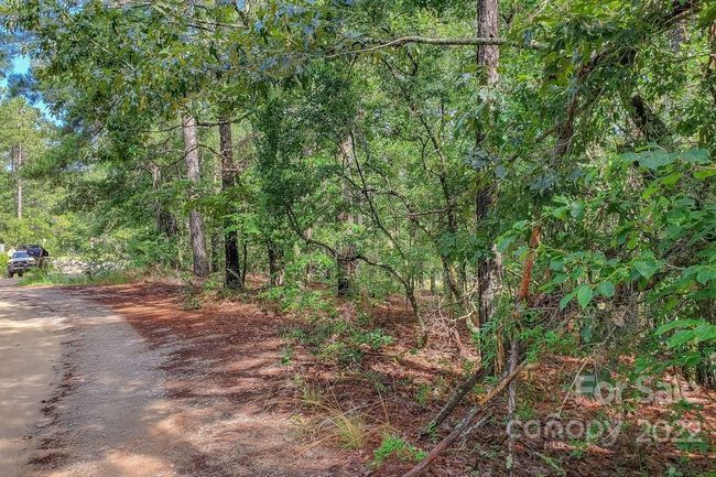 1915 Koon Road, Home with 0 bedrooms, 0 bathrooms and null parking in Lugoff SC | Image 19