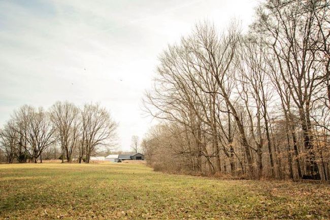 13300 Scottsville Rd, Home with 0 bedrooms, 0 bathrooms and null parking in Lucas KY | Image 15