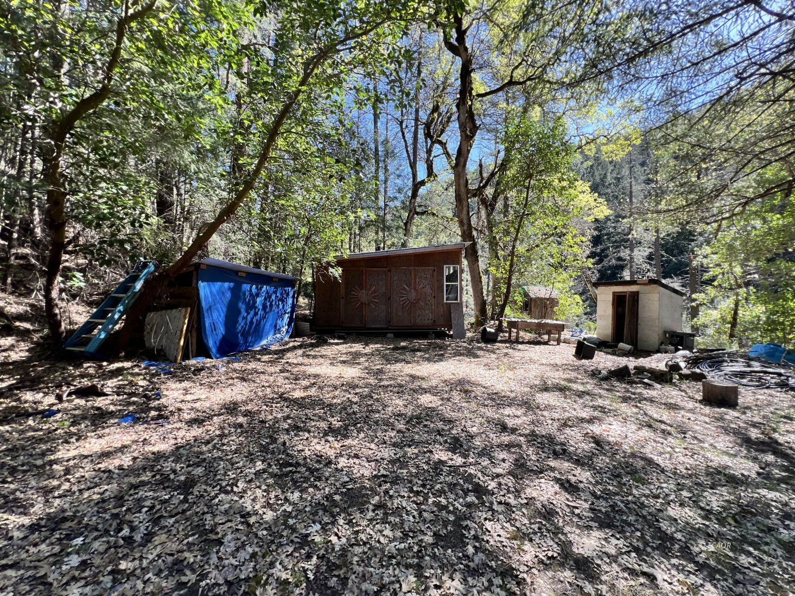 Land in Douglas City 2