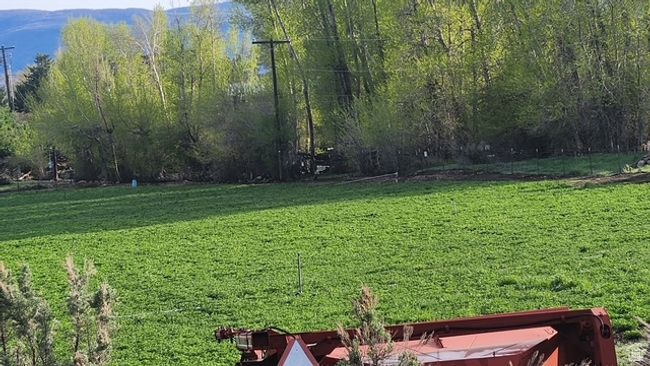 View of yard | Image 24