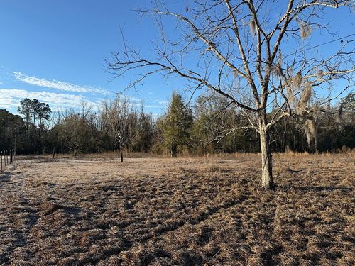 Vacant Sw Wyoming Avenue, Lamont, FL, 32336 | Card Image