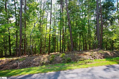 590 Old Chapman Bridge Road, Salem, SC, 29676 | Card Image