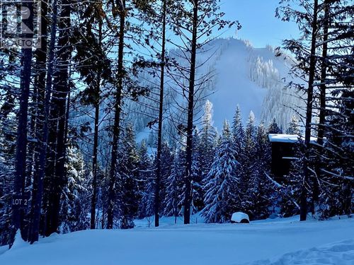 {{alt}} | Card Image