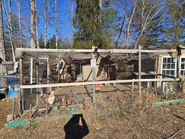 345 Pinecrest Ln, House other with 3 bedrooms, 2 bathrooms and 1 parking in Claudville VA | Image 9