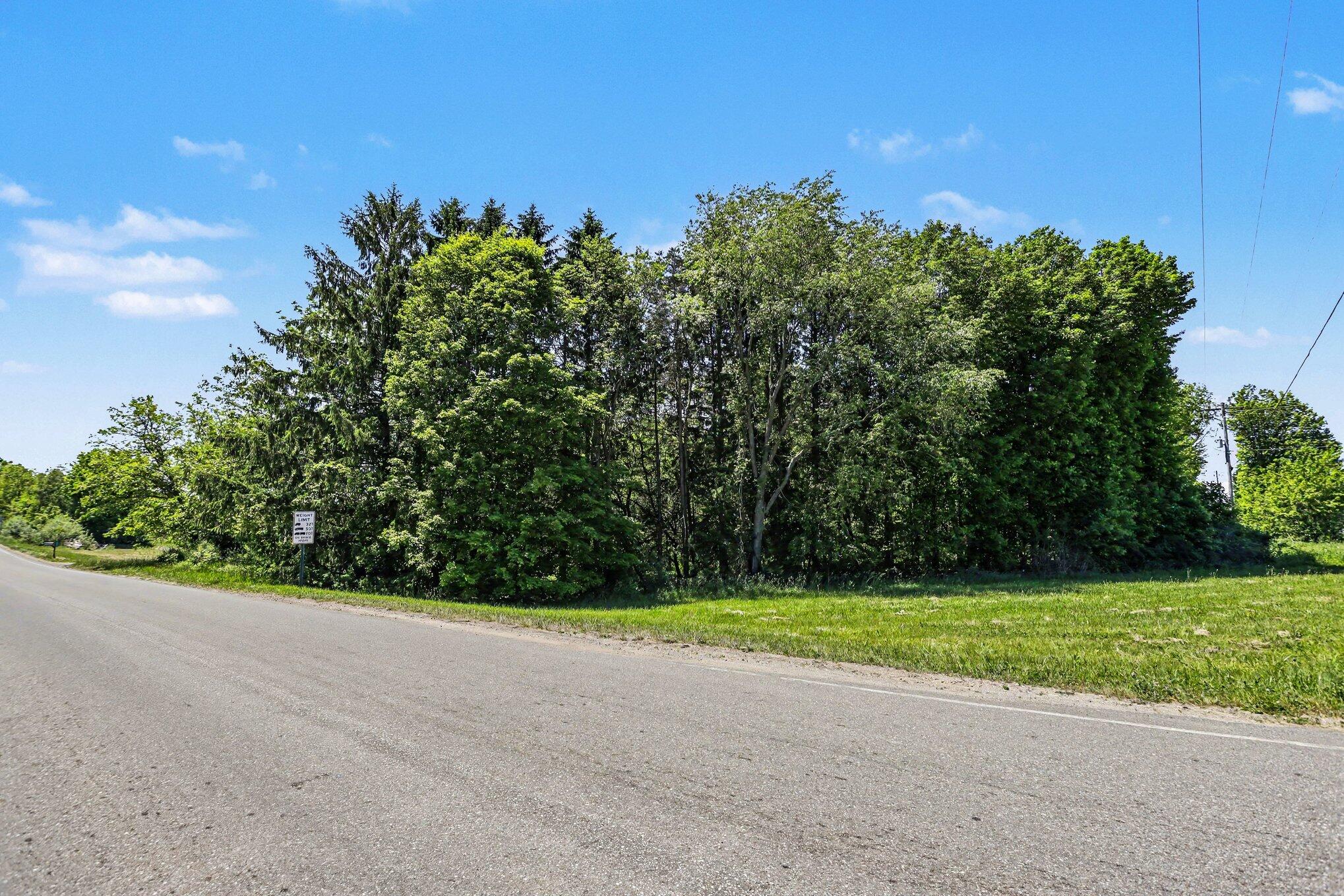 Land in Paw Paw 4