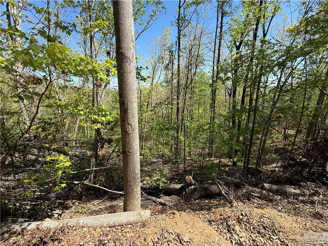 113 Stone Creek Ct, Home with 0 bedrooms, 0 bathrooms and null parking in Pickens SC | Image 5