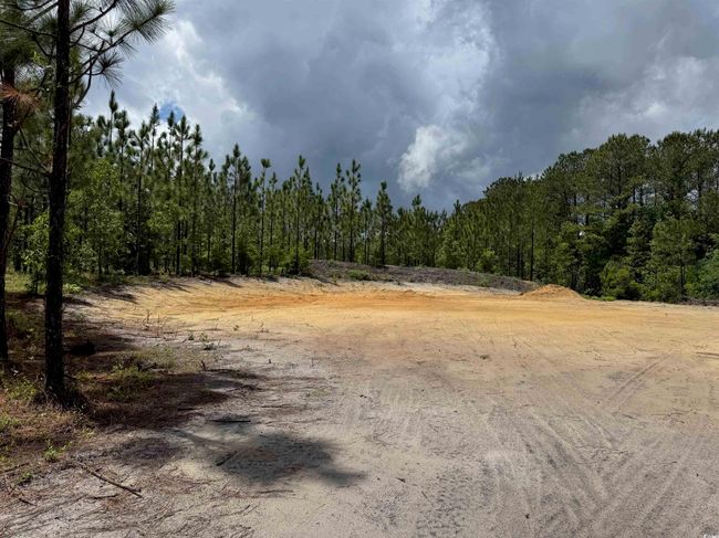 1698 Carriage Dr, Home with 0 bedrooms, 0 bathrooms and null parking in Loris SC | Image 9
