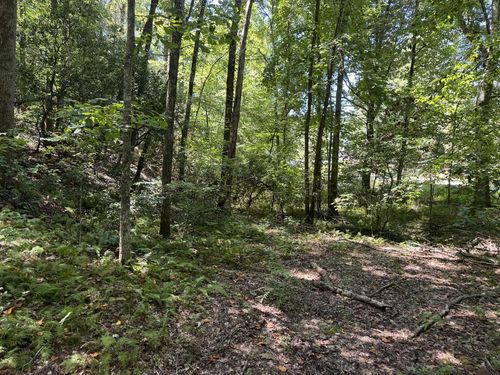0 Laurel Ridge Drive, Cherry Log, GA, 30522 | Card Image
