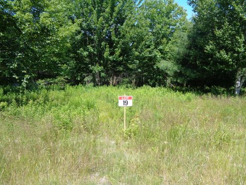 Lot 19 Bailey Mountain Dr, Franklin, ME, 04634 | Card Image