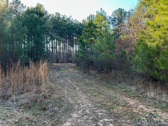 TBD 26.5 ac Boggy Rd., Home with 0 bedrooms, 0 bathrooms and null parking in Waskom TX | Image 9