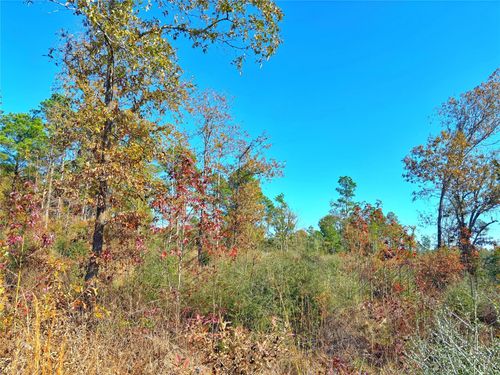 0 Fm 2022 N, Grapeland, TX, 75844 | Card Image