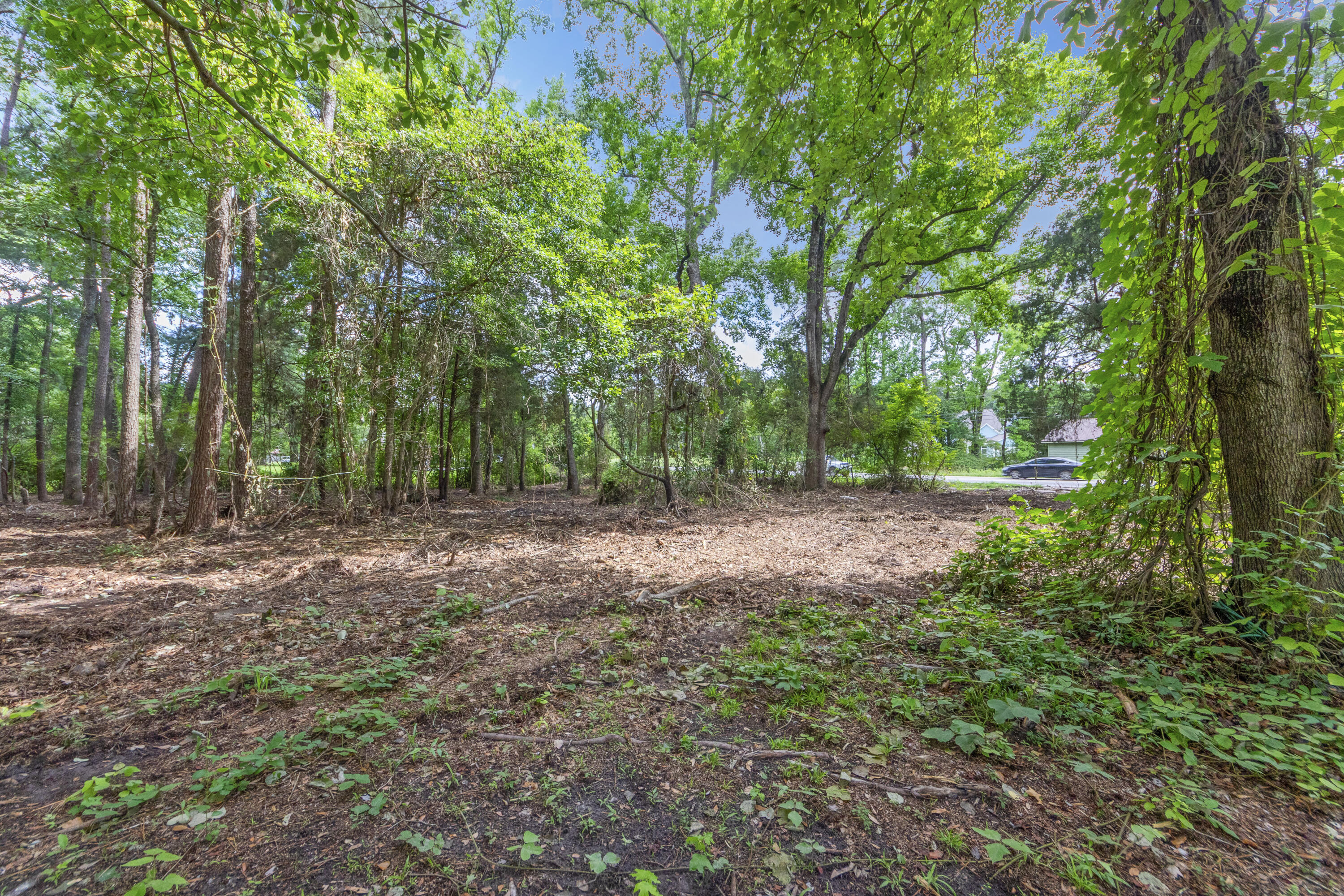 Land in Summerville