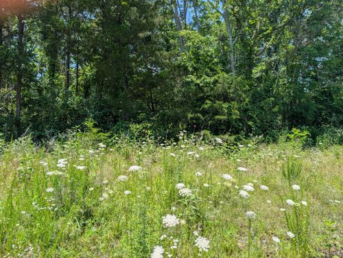 Lot 140 Farm Road 1255, Shell Knob, MO, 65747 | Card Image