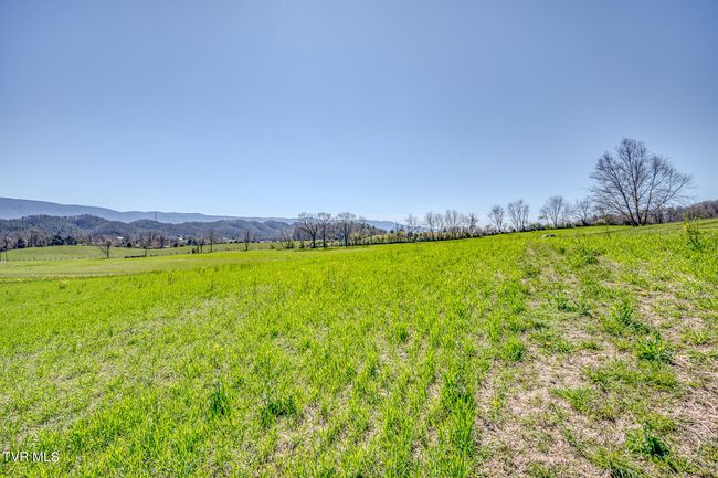 LOT-12 - Tbd Highway 44, Home with 0 bedrooms, 0 bathrooms and null parking in Bristol TN | Image 13